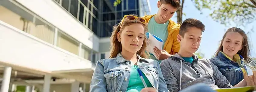 A B1 Preliminary for Schools qualification shows that a student can:
